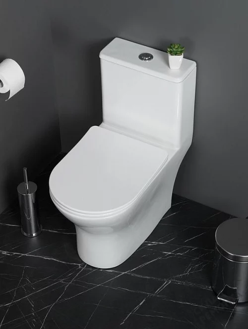 Фото Унитаз моноблок BelBagno Lounge BB8618CPR-MN/SC безободковый купить в Сочи: цена, описание, фото. Интернет-магазин 1